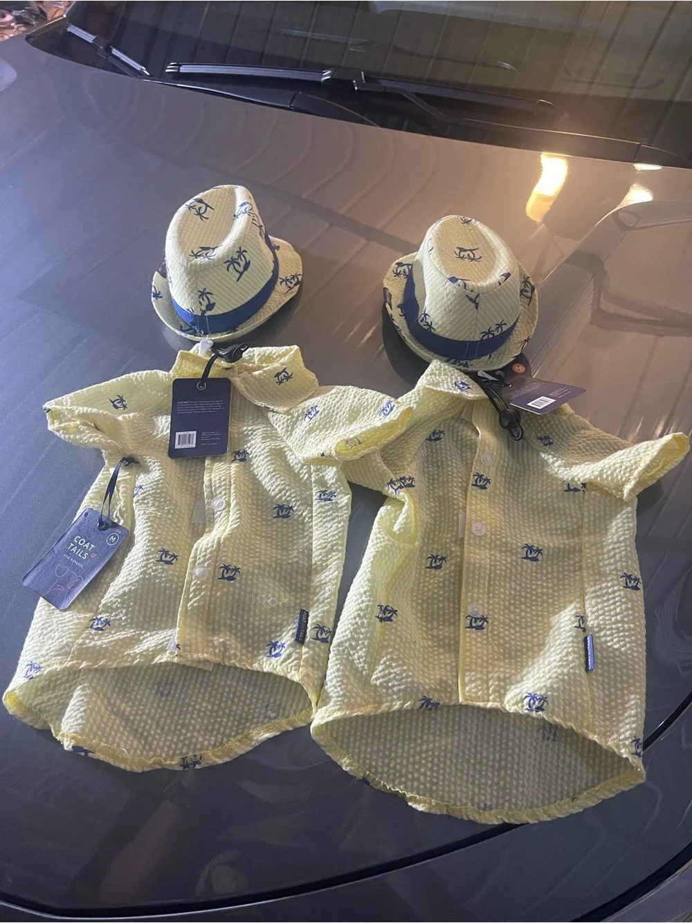Dog’s Yellow Seersucker Shirt & Matching Hat Set - Twin Pack